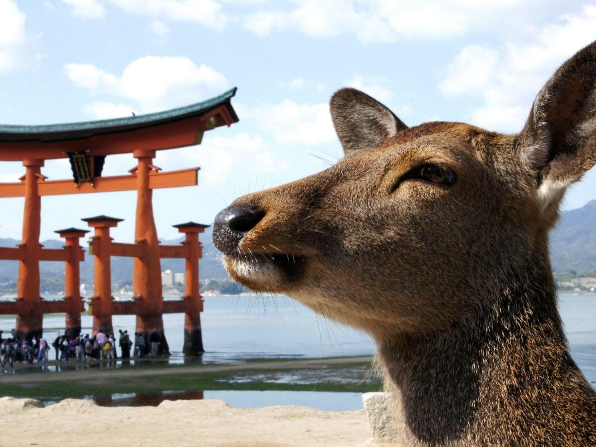 Global Resort Miyajima View Hatsukaichi Bagian luar foto